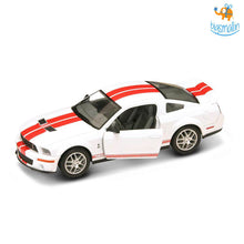 Load image into Gallery viewer, FALSE